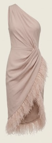 Blush Feather-Trimmed Asymmetric Dress
